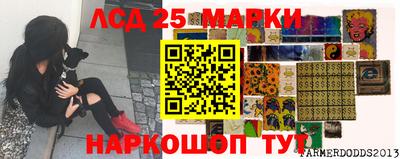 гидра Шахты