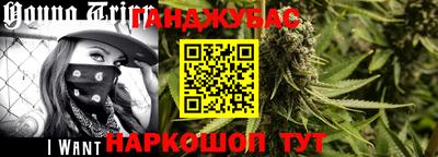 гидра Шахты