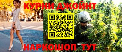 гидра Шахты