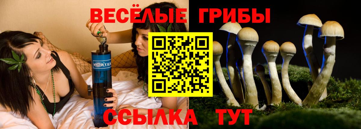 Галлюциногенные грибы прущие грибы  Псилоцибиновые грибы Psilocybine cubensis  Вышний Волочёк  Вход с VPN 